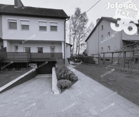 Nagy Petőfivárosi ház eladó!