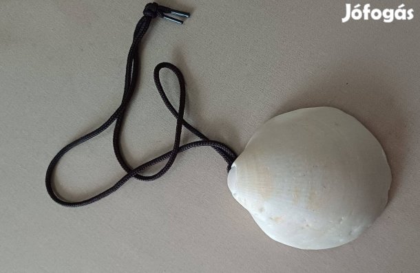 Nagy fehér kagyló barna bőrszíjon