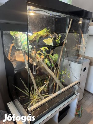 Nagy méretű komplett Terrárium
