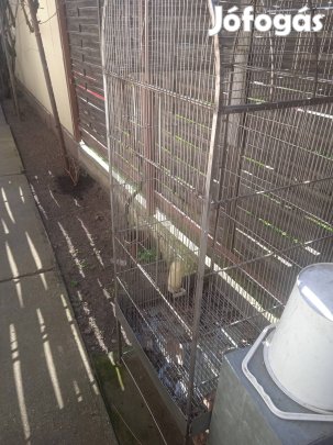 Nagy méretű madár kalitka