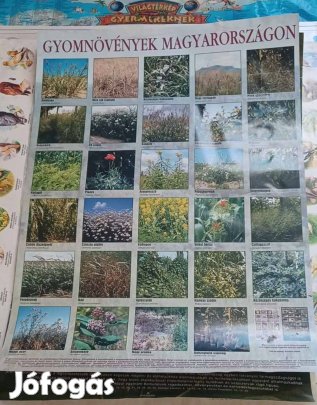 Nagy méretű poszterek