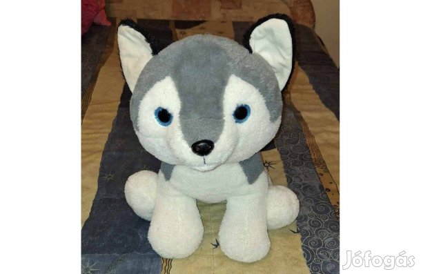 Nagy plüss husky,negyedáron