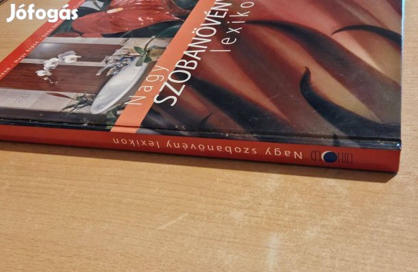 Nagy szobanövény lexikon