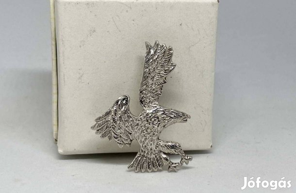 Nagyalakú, újszerű sas ezüst medál, uniszex