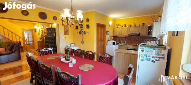 Nagycsaládosoknak, vállalkozáshoz exkluzív ingatlan eladó!