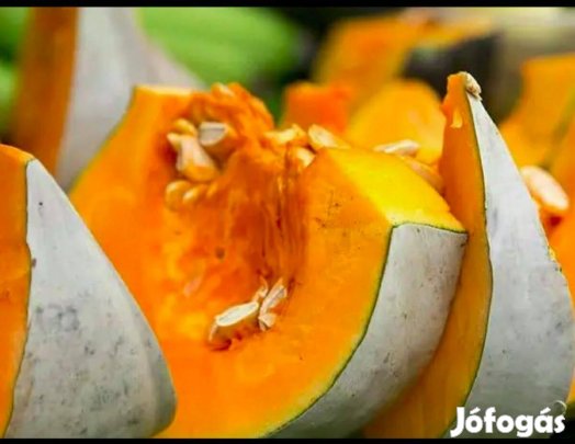 Nagydobosi sütőtök mag - 30 db ( saját termésből gyűjtve )