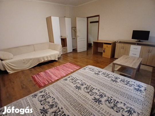 Nagyerdőalján 1 szobás felújított lakás kiadó