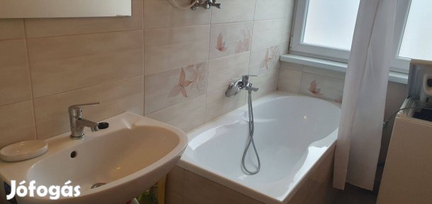 Nagyerdőalján 1 szobás lakás kiadó!
