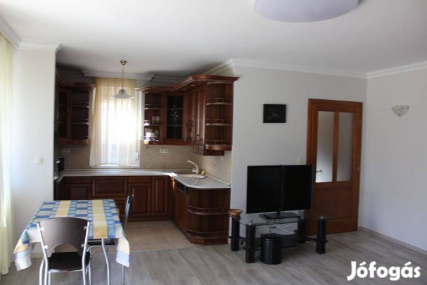 Nagyerdőn nappali + 1 szobás kertkapcsolatos lakás kiadó