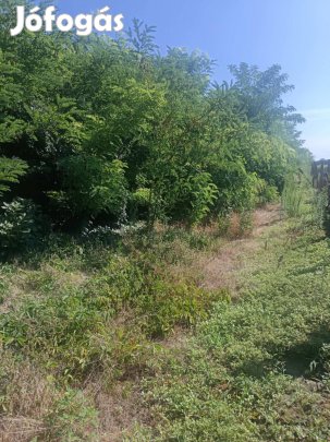 Nagyhalász befektetés