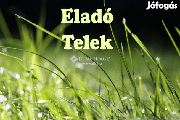 Nagyhalászi 1600 nm-es telek eladó