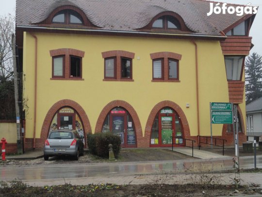 Nagykállóban többfunkciós ingatlan eladó