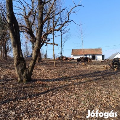 Nagykanizsai 55 nm-es ház eladó