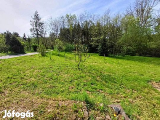 Nagykanizsai eladó 1666 nm-es telek