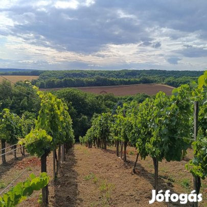 Nagykanizsai eladó 30 nm-es ház