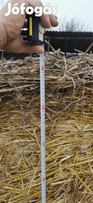 Nagykörbálás szalma eladó (170 cm) 