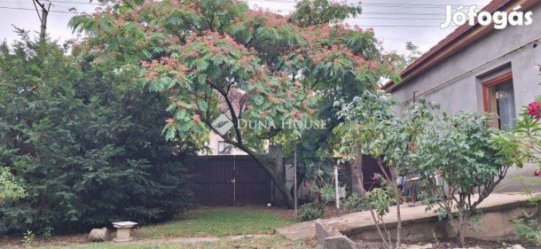 Nagykőrösi eladó 180 nm-es ház