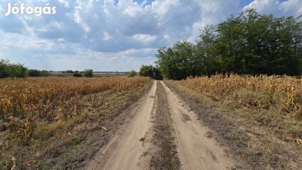 Nagykőrösön 8.532 nm-es ipari telek Eladó!