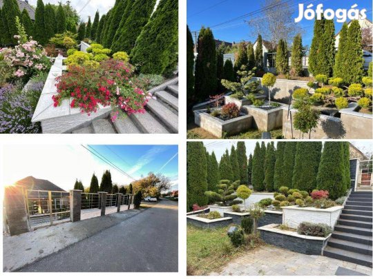 Nagykozárban családiház 200+50+50 m2, 2.000 m2 telken 169 M Ft