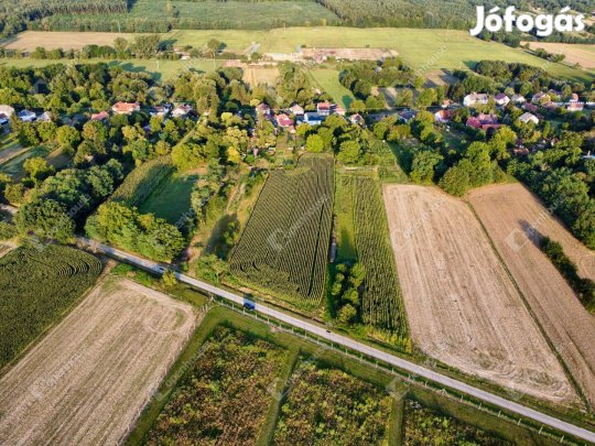 Nagykutasi 4424 nm-es telek eladó