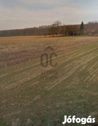 Nagykutason  telek- a jövője kezdete Zala vármegyében!