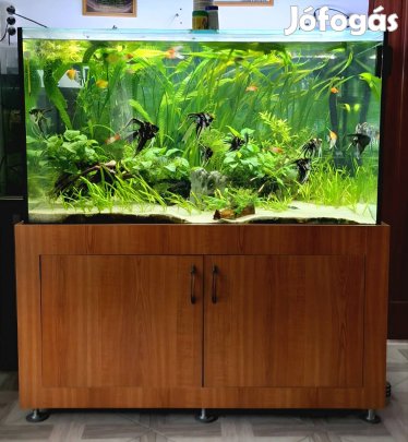 Nagyméretű akvárium bútorral 