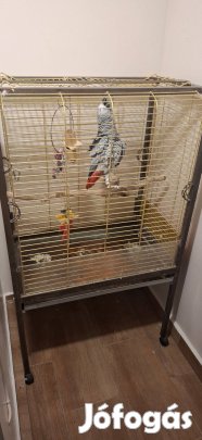 Nagyméretű kalitka