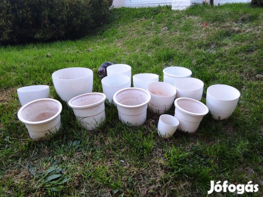 Nagyméretű kaspók