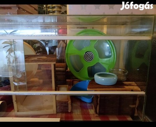 Nagyméretű terrárium eladó