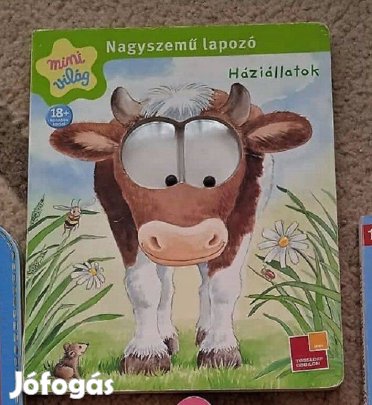 Nagyon ritka! Háziállatok - Nagyszemű lapozó (Mini világ sorozat)