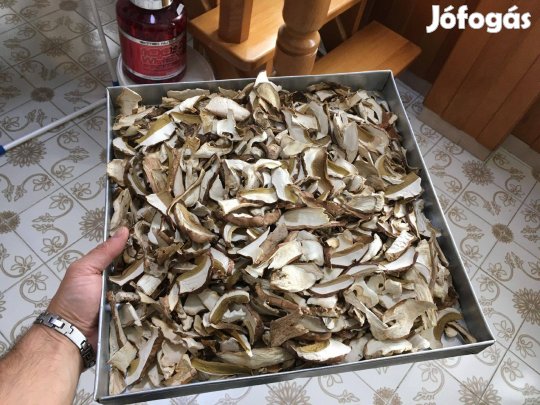 Nagyon szép, válogatott minőségű szárított vargány, vagy por