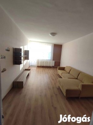 Nagyon szép frissen felújított lakás kiadó Nyíregyháza belvárosában