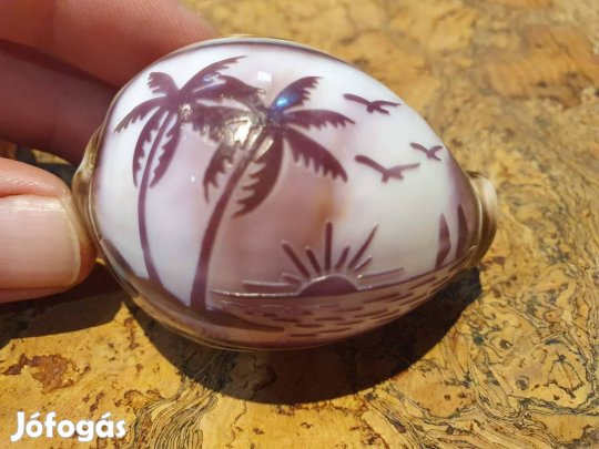 Nagyon szépen vésett kauri kagyló korall csiga lakásdekoráció