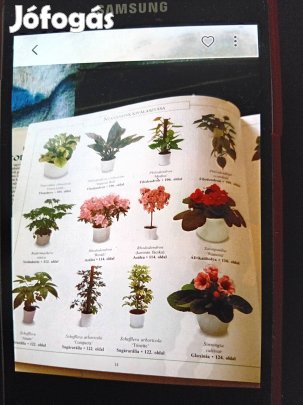 Nagyon tudományosan leirt szép és egészséges növények tudós könyve