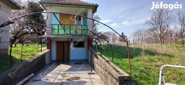 Nagypáliban Kiváló lehetőség a természet szerelmeseinek !