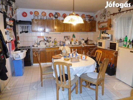 Nagyszerű hangulatú, nagyméretű, többfunkciós kúria a Somló hegyen.