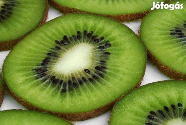 Nagytermésű szőrös kiwi 'Hayward' 2 éves konténeres