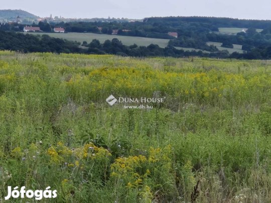 Nagyvázsonyi 100000 nm-es telek eladó