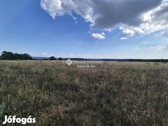 Nagyvázsonyi eladó 50000 nm-es telek