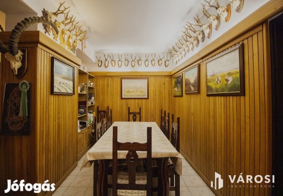 Napelemes, 2 szintes családi ház, haszonélvezettel Gyulán