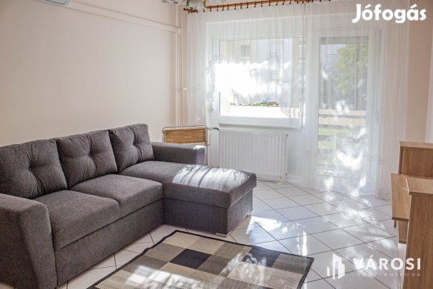Napfényes 2 szobás  felújított a Tiszánál