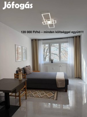 Napfényes, csendes szoba a Margitsziget közelében III. kerület, Buda