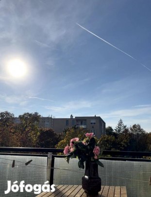 Napfényes, derűs, hitelezhető, zöldövezeti lakás, alacsony rezsivel