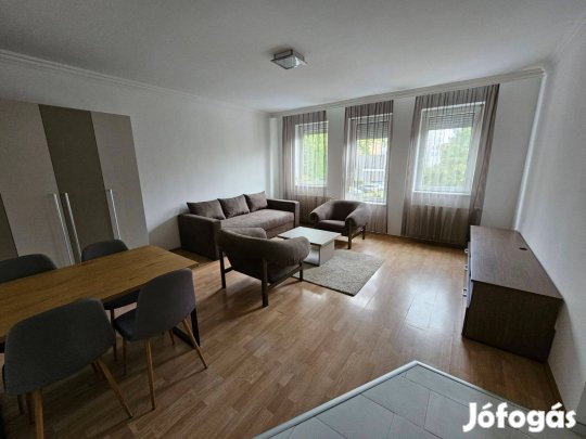Napfényes, felújított belvárosi lakás!