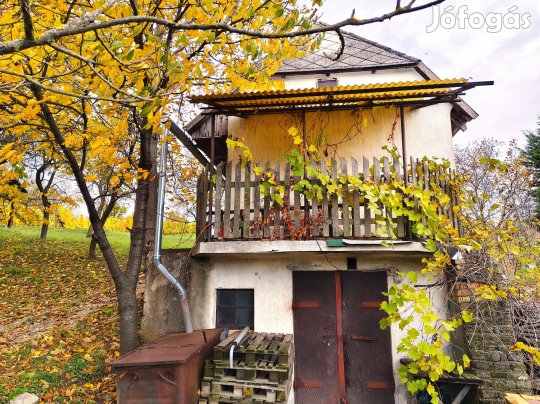 Napfényes birtok - Fehérvárcsurgói eladó tégla családi ház