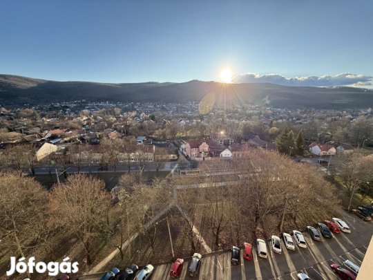 Napfényes kezdetek Diósgyőr szívében