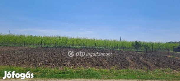 Napkori eladó 937 nm-es telek