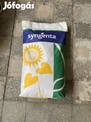 Napraforgó vetőmag