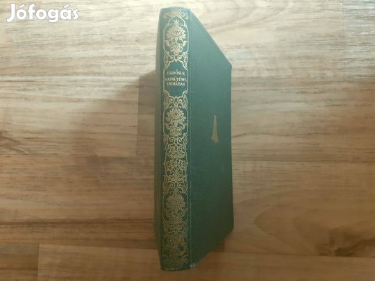 Napsütéses Indiában (Aranyozott gerincű kiadói vászonkötés)