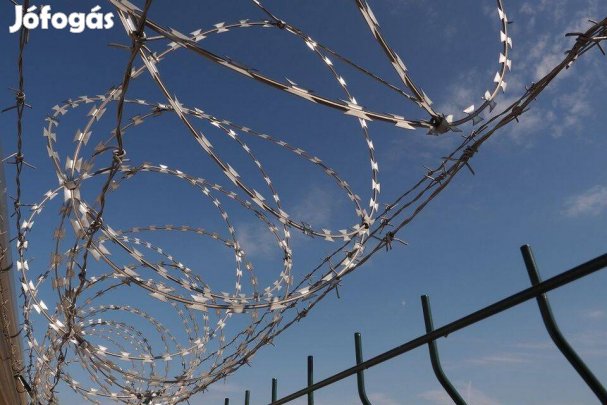 Nato háló pengésdrót huzal kerítés! drótfonat vadháló drótháló oszlop